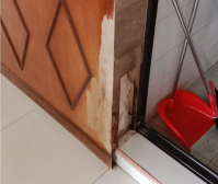 Water Seepage Problems in Singapore: How to Fix Damaged Walls and Carpentry