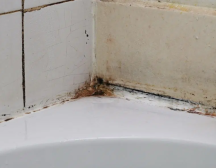 Replace ugly moldy bathroom silicone in Singapore! Prevent water damage and mold growth with expert silicone replacement services.