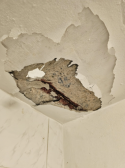 Cracks Above You? How to Spot if Your Ceiling Has Spalling Concrete in Singapore