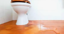HDB Toilet Leakage Repair : Solving the Root Cause and Planning for a Lasting Fix