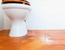 Address HDB toilet leaks with temporary fixes or opt for a full bathroom renovation